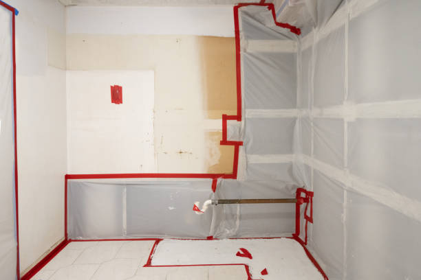 Best Mold Remediation for Healthcare Facilities  in Oregon, WI