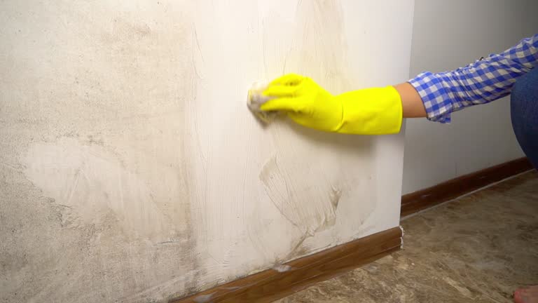 Best Emergency Mold Remediation  in Oregon, WI